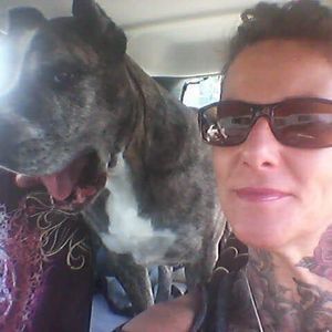 Meet your Posher, Cindy